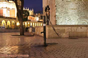IMG_ (11209)